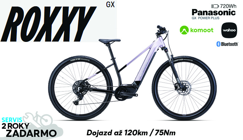 Roxy GX